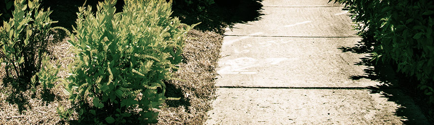 手机攻击器APP下载